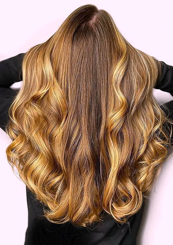 Image556 07 04 2024.png