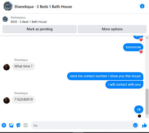 shanekque.png