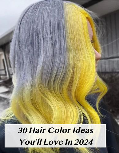 Image557 1080 1394.png