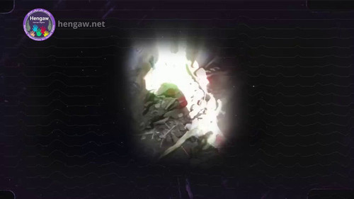 fWu2RNyVs pgR 8n.jpg