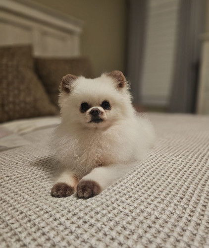 459952853 1158859445665061 2613698820762263232 n.jpg