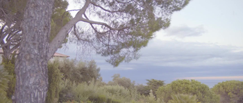 8dfe7460cd5e.png