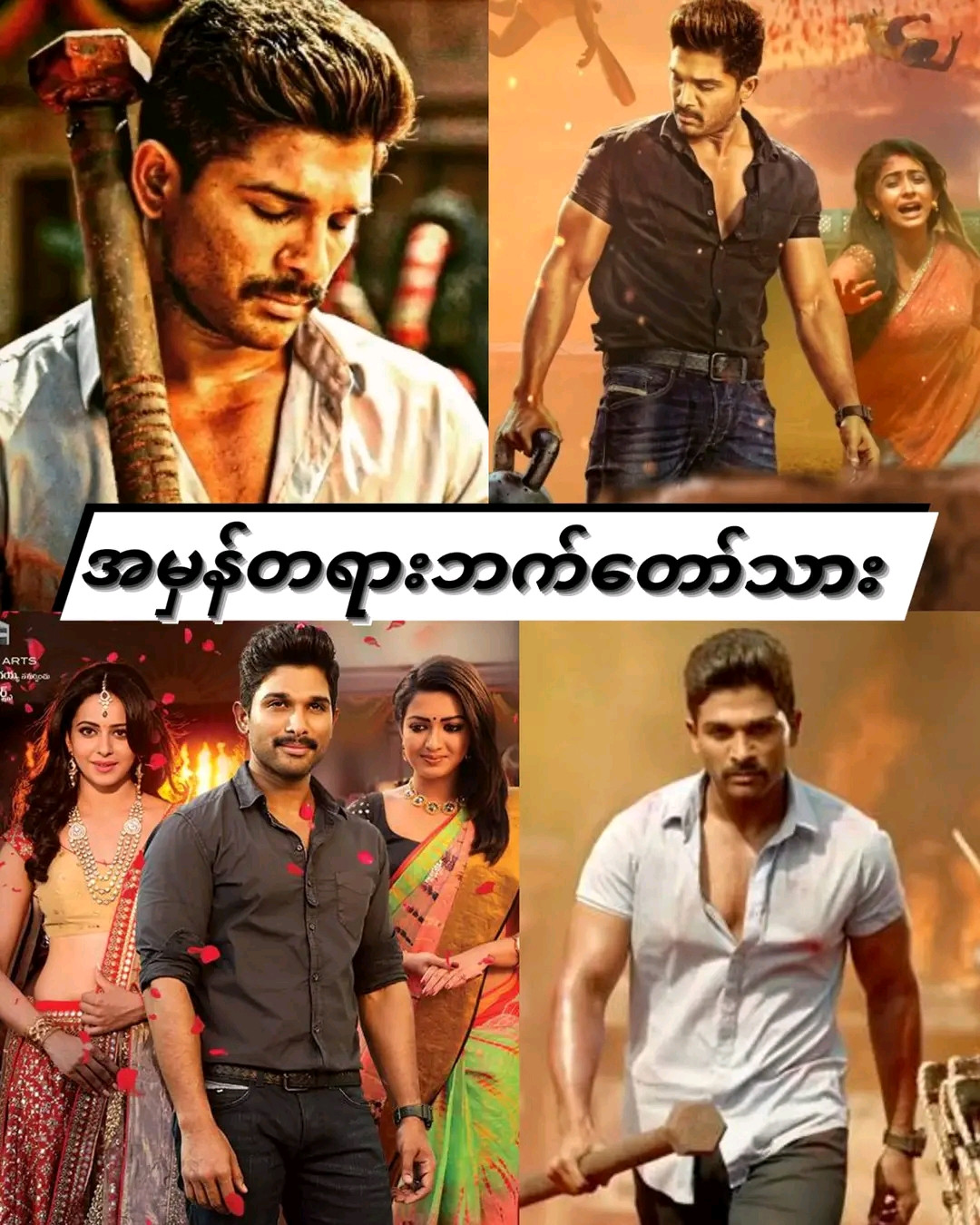 Sarrainodu (2016)