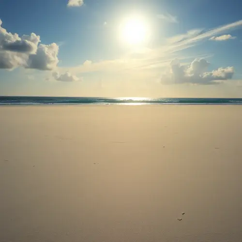8fb35c108580.webp