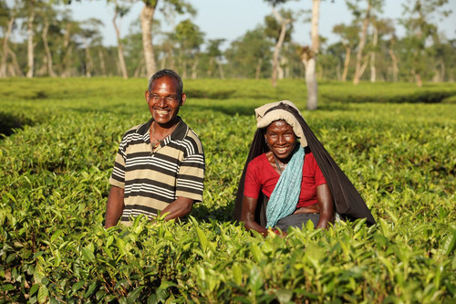 GXvT01LakAQkR s?format=jpg.jpg