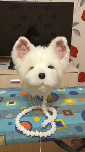 1726581250 1765152428.jpg