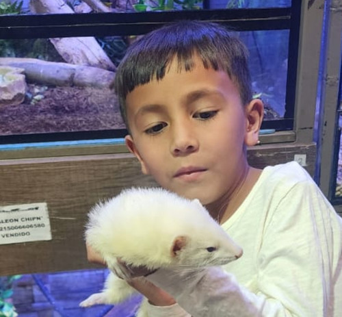 Screenshot 20240917 082534.jpg