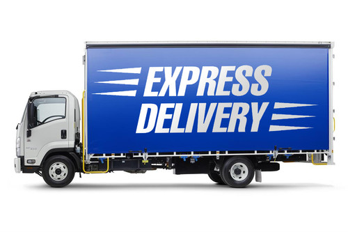 TFX DELIVERY TRUCK EXPRESS DELIVERY LOGO ON CURTAIN NOV 2023.jpg
