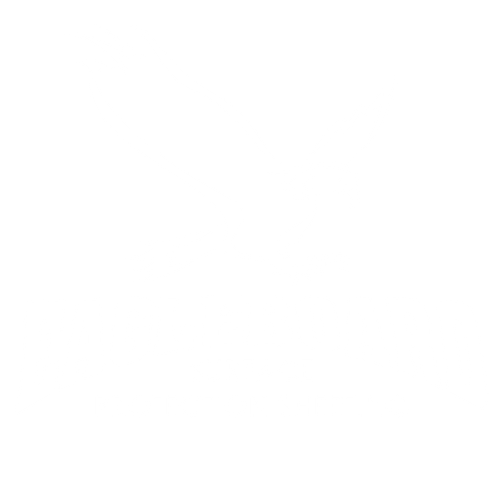 EAGLEBOARD TFX LOGO WHITE.png