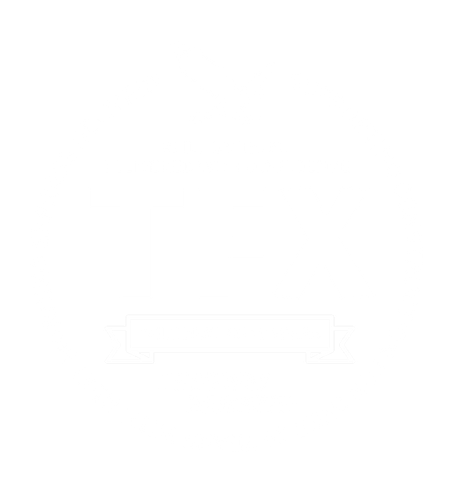 TFX LIGHT BOX SHIELD DESIGN SEPT 2024 LOGO ISOLATED.png