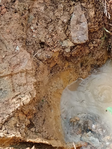 WhatsApp Image 2024 09 17 at 11.58.12.jpg