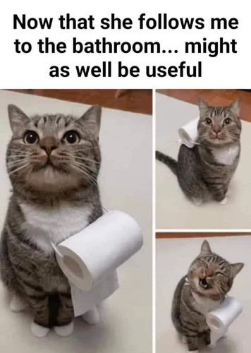 460004884 451992864537019 5323677397756545418 n.jpg