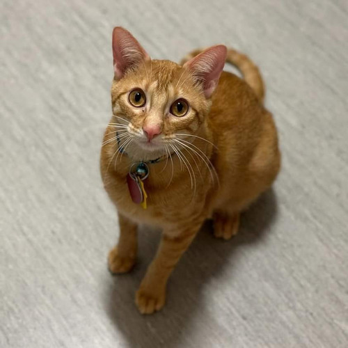 459552311 515715261104902 6522351046617351974 n.jpg