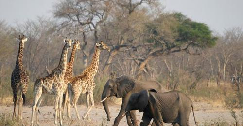 16537252748123633642?url=https%3A%2F%2Fnation.africa%2Fresource%2Fimage%2F4765012%2Flandscape ratio3.jpg