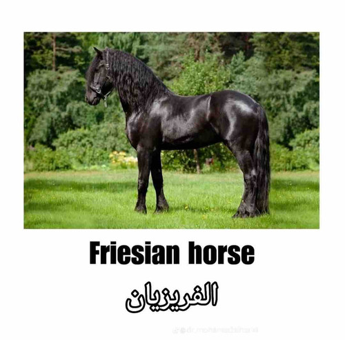 F038CCE7 C73E 4B42 AAC5 CFE04389B9AF.jpg