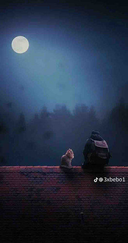 B48589B7 F1D5 45FA A2F0 FB39AD09FBE5.jpg