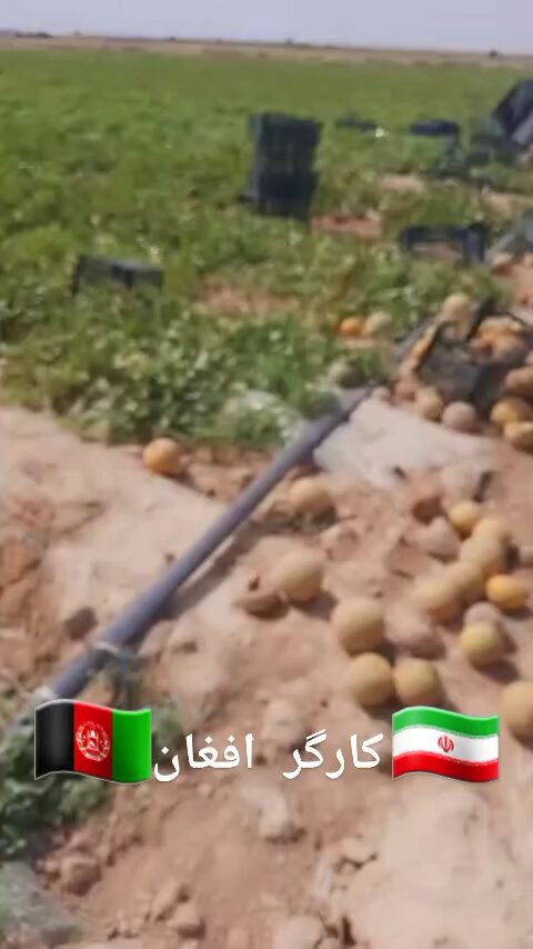q0M ZwCU0KJUCaDt.jpg