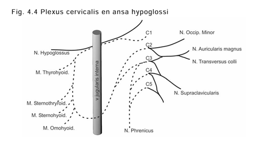 bce1483d4529.png
