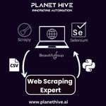 Expert Web Scraping.jpg