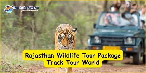 Rajasthan Wildlife Tour Package - Track Tour World.jpg