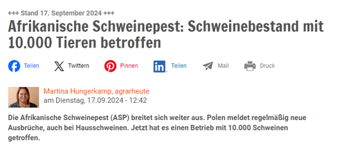 schweinepest polen.png