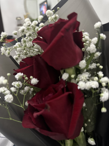 IMG 0500.jpg