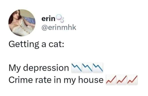 460093661 453429714393334 5663251154143595024 n.jpg