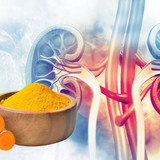 curcumin2407