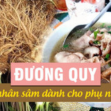 duongquy2406