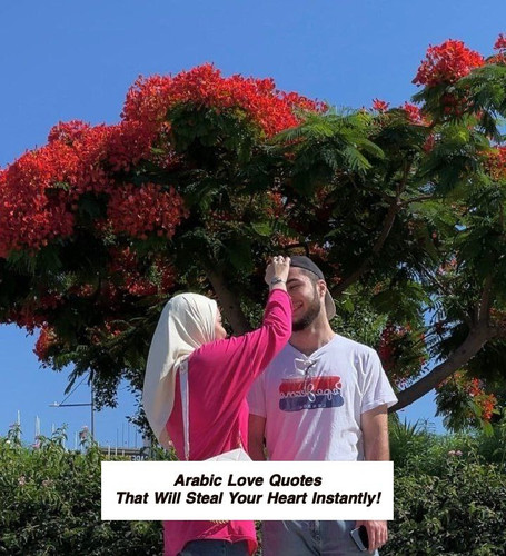 Arabic Love Quotes 3183.jpg
