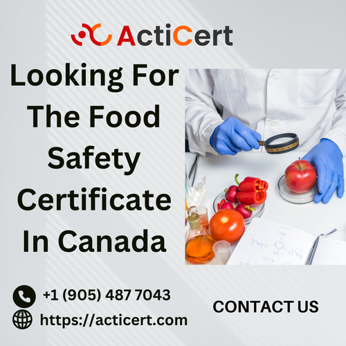 Looking For The Food Safety Certificate In Canada.png