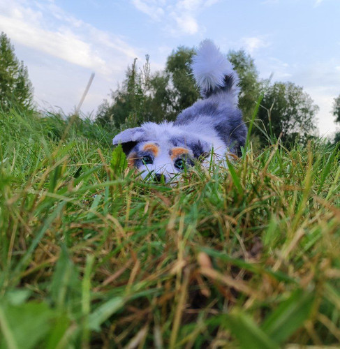 1726559813 2002961098.jpg