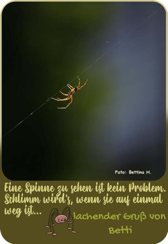 enexxJED6PdD.png
