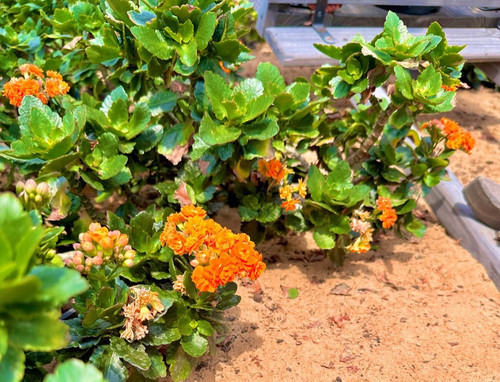 GXqgod XoAAoKc ?format=jpg.jpg