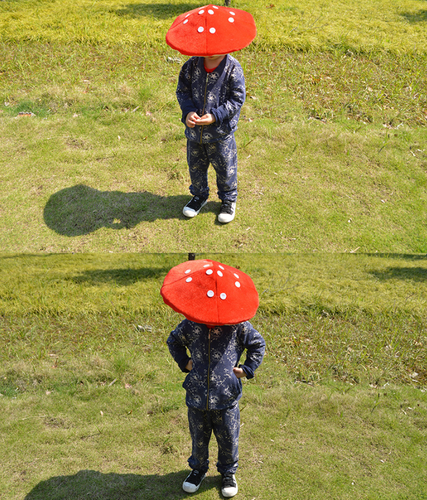 QQ截图20240918160317.png