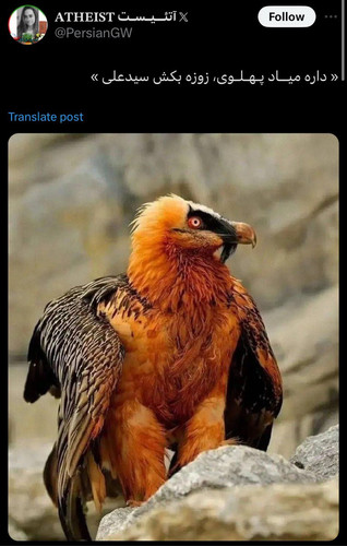 GXvfHkKXMAAsRh3?format=jpg.jpg