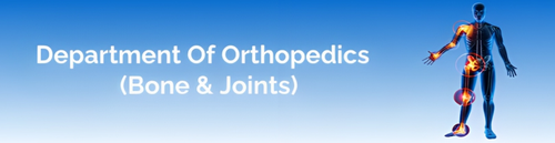 Orthopedic Bone & Joints.png