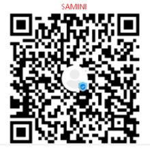 SAMINI.jpg
