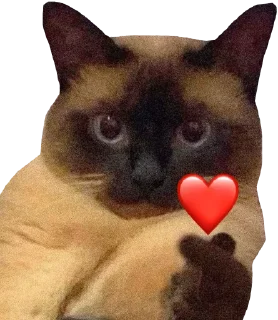 1726655208 661957617.webp
