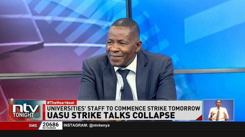 s4O8cdvKC8flnJ 1.jpg