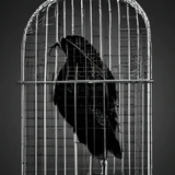 GXt IgaakAEKXUC?format=png.png