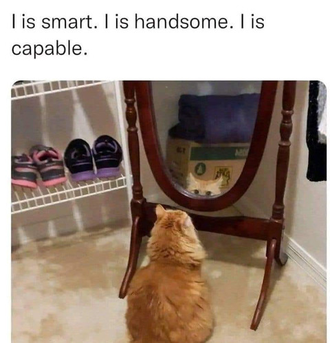 460093227 453430887726550 2610848664138421609 n.jpg