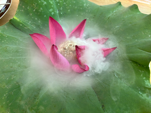 IMG 2213.jpg