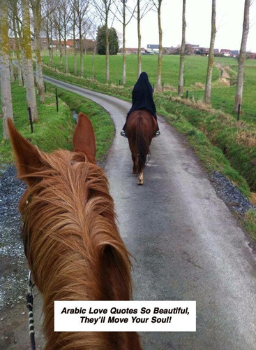 Arabic Love Quotes 5324.jpg