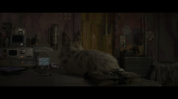 70d209a3835b.png