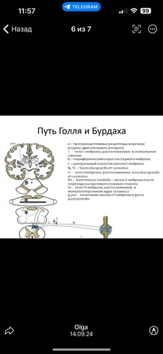 file 2666.jpg