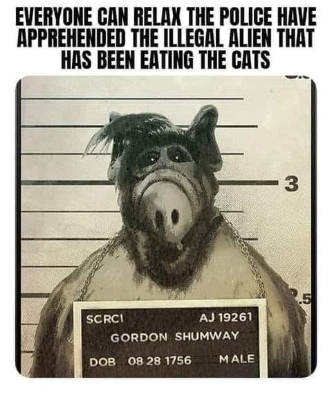 459920371 10226824958718189 2640775860615246614 n.jpg