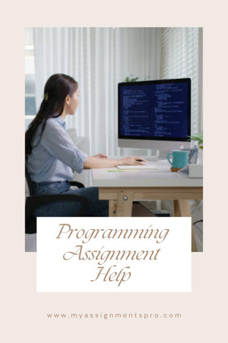 Programming assignment help.jpg