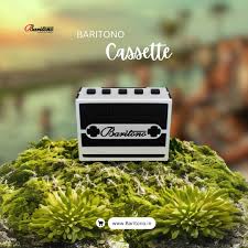 Baritono Mini Speaker.jpg