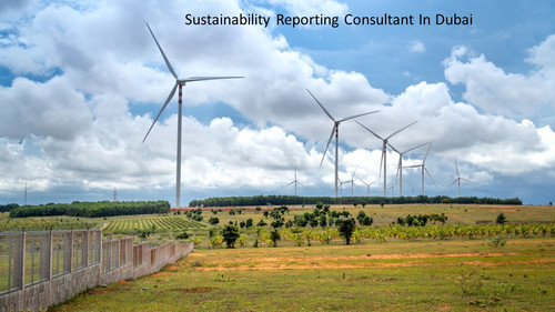 Sustainability Reporting Consultant In Dubai 4.jpg